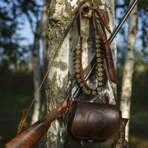 Photo #13650066