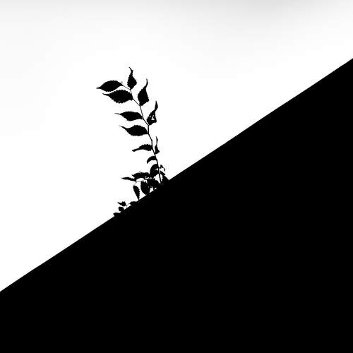 Shadow Sprout