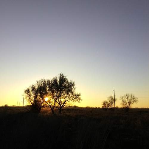 Photo #13650163