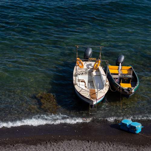 Photo #13650186