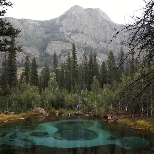 Photo #13650200