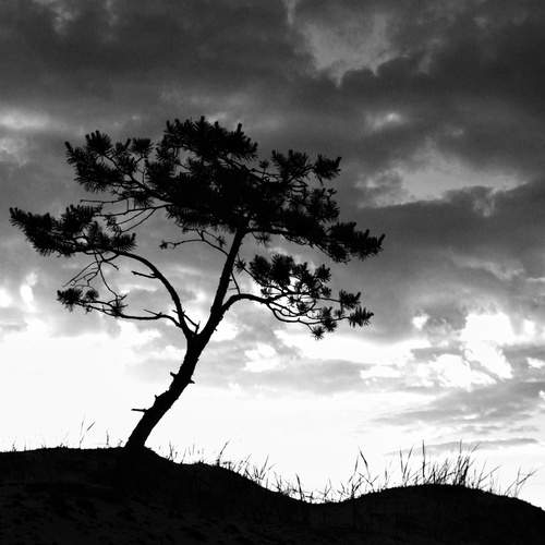 Photo #13650304