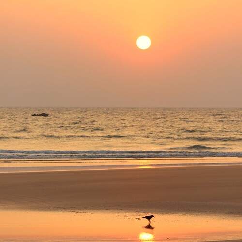 Photo #13650373