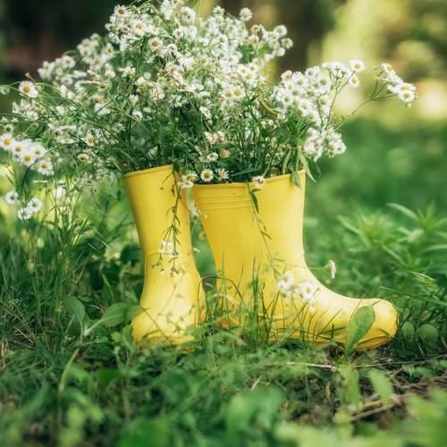 Photo #13650394