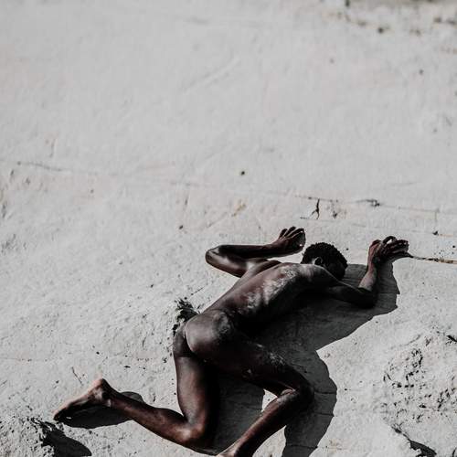 Photo #13650462