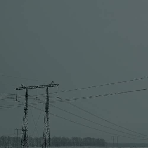 Photo #13650554