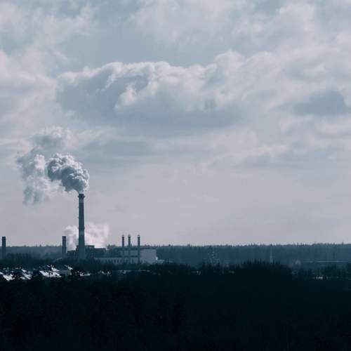 Photo #13650555