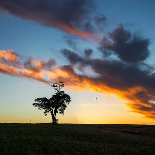 Photo #13650575