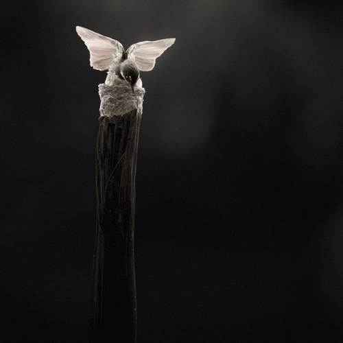 Photo #13650612