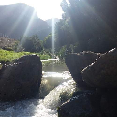 Photo #13650616