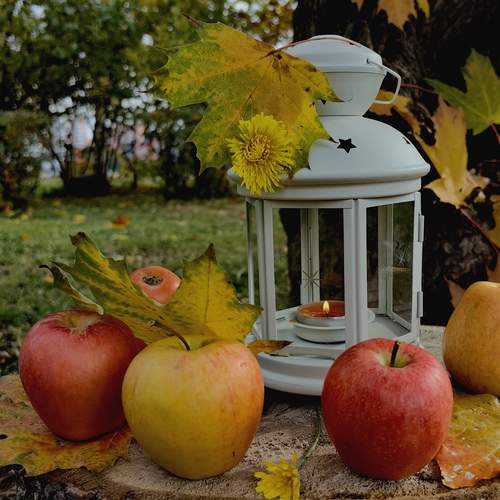 Photo #13650630