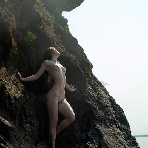 Photo #13650633