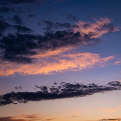 Photo #13650654