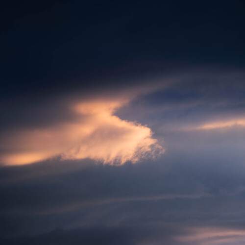 Photo #13650655