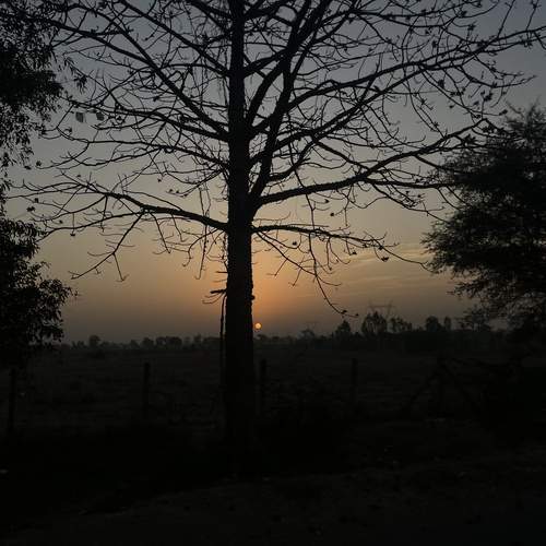 Photo #13650658
