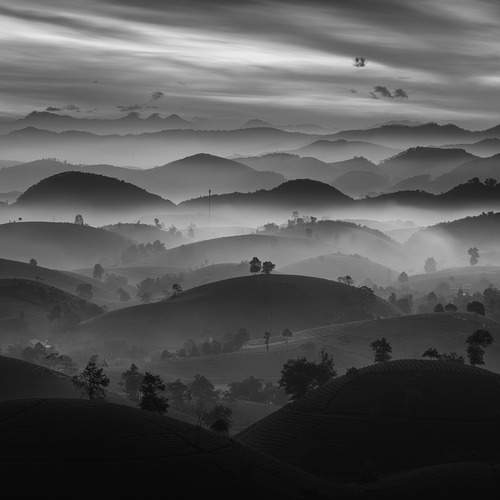 Tran Linh