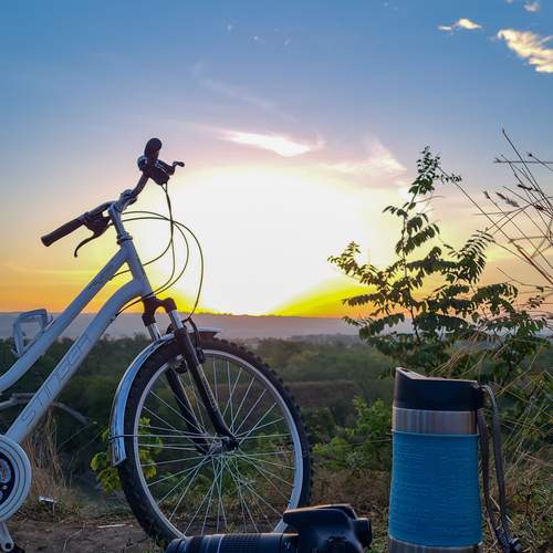 Photo #13650727