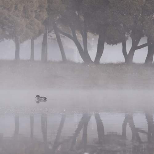 Photo #13650869
