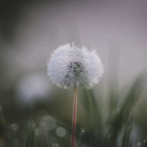 Photo #13650870