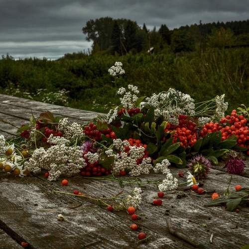 Photo #13650903