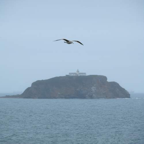 Photo #13651021