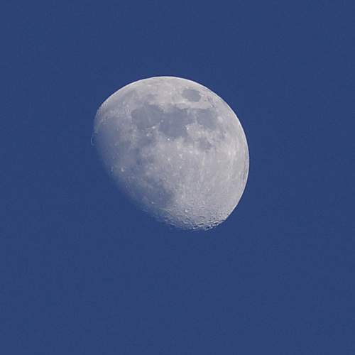 Photo #13651029