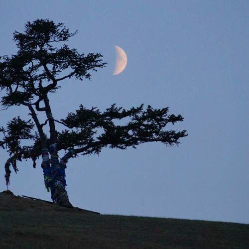 Photo #13651048