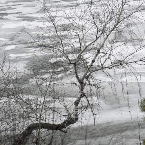 Photo #13651050