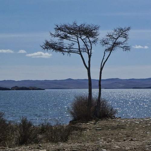 Photo #13651083