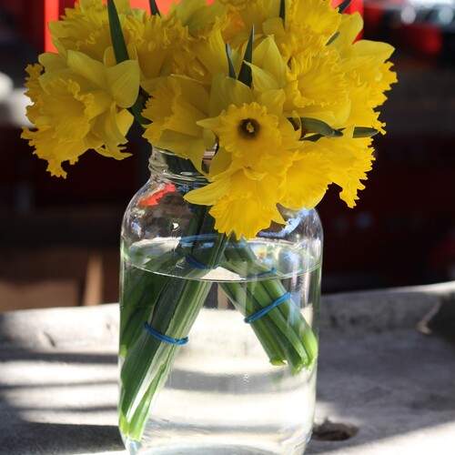 Photo #13651088