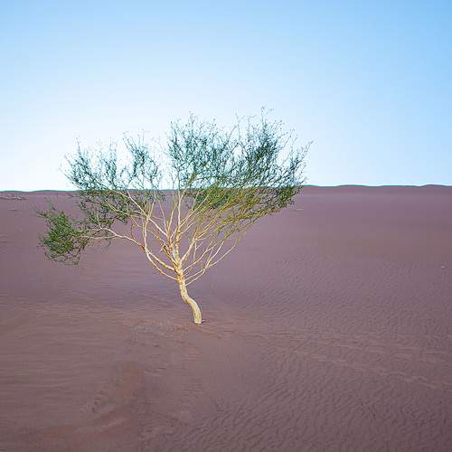 Photo #13651139