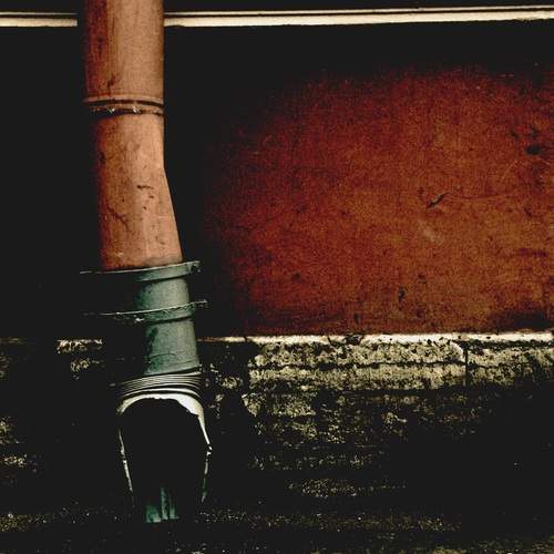 Photo #13651145