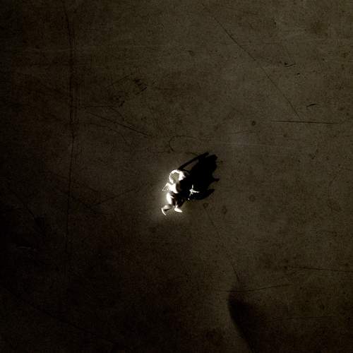 Photo #13651148