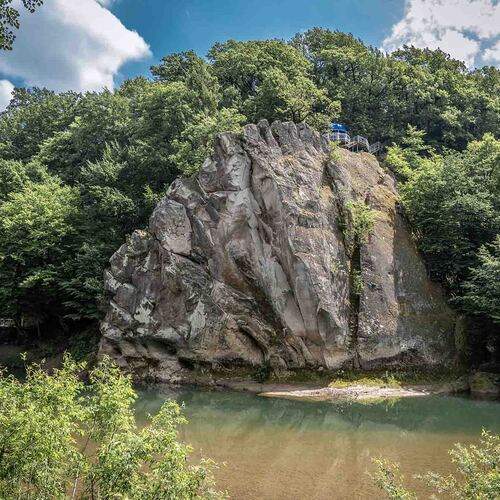 Photo #13651276