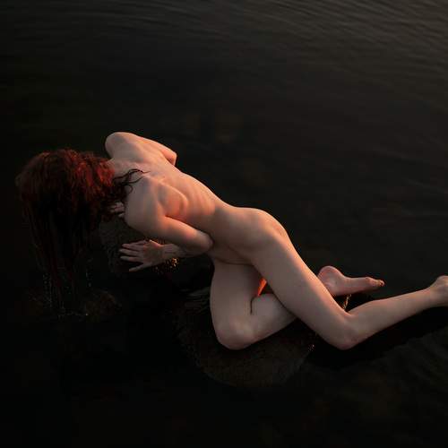 Photo #13651287