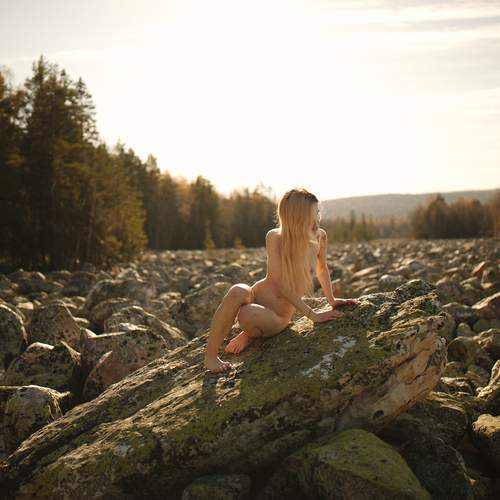Photo #13651289