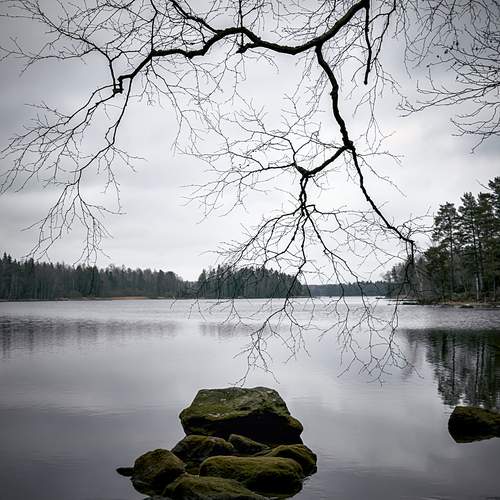Tranquil Landscape Captured With Gentle Ripples And Muted Tones