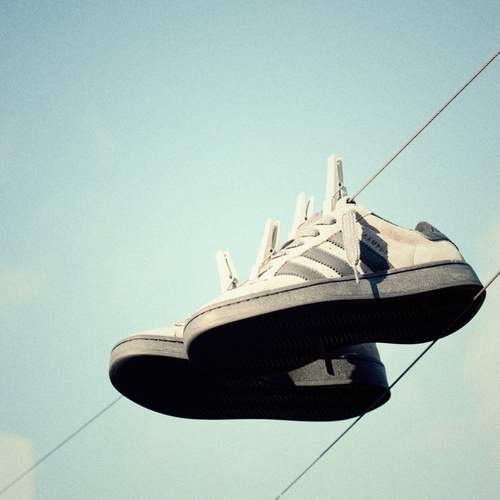 Photo #13651346