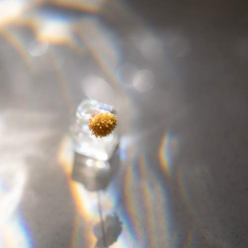 Photo #13651347