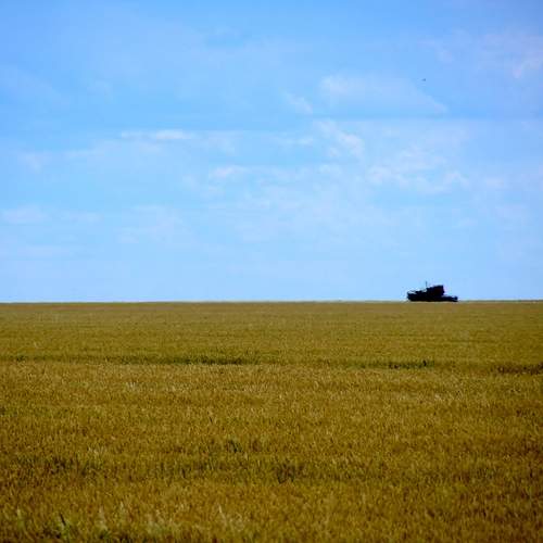 Photo #13651565