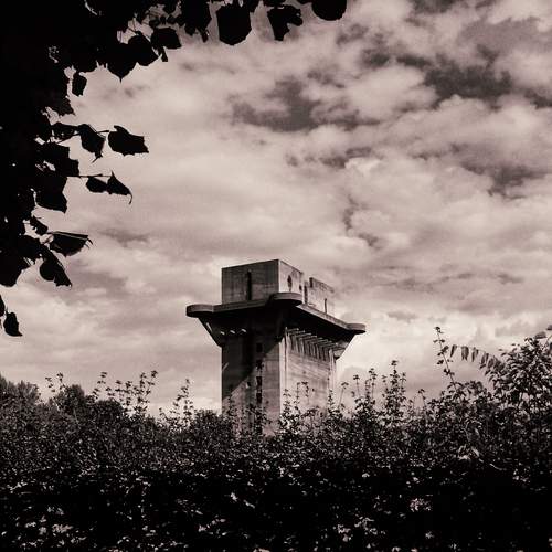 Photo #13651732