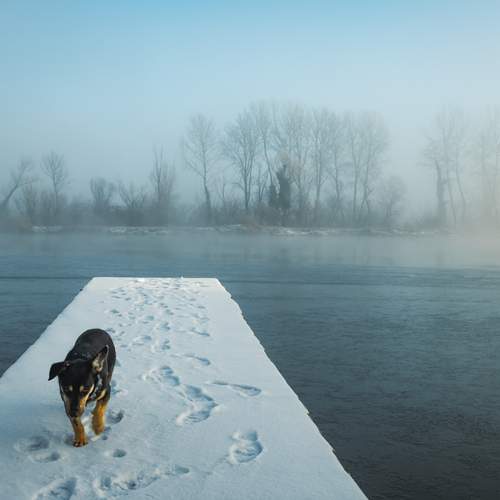 Photo #13651786