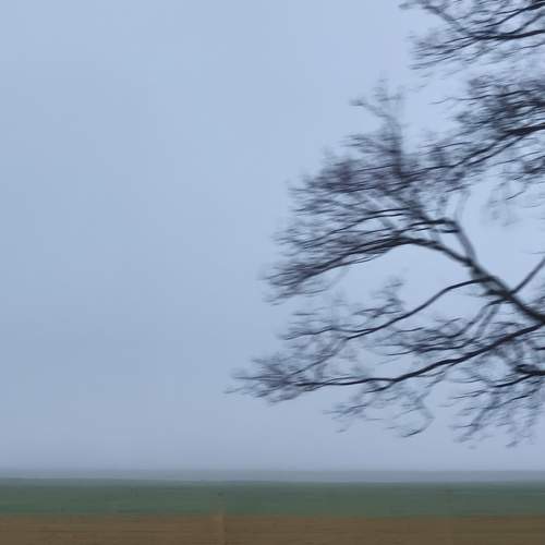 Photo #13651862