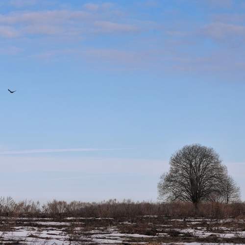 Photo #13651903