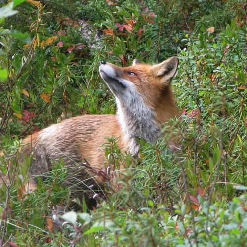 Photo #13651923