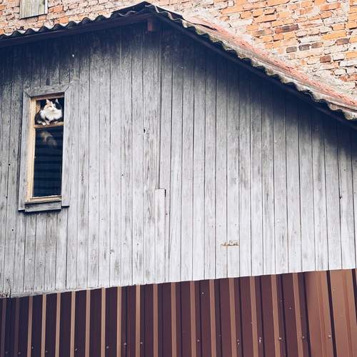 Photo #13652015