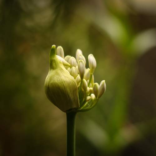 Photo #13652033