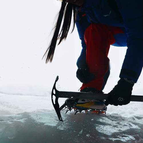 Photo #13652071