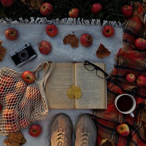 Photo #13652256