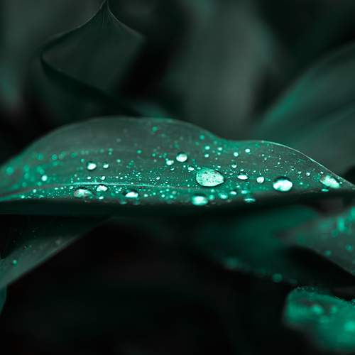Photo #13652287